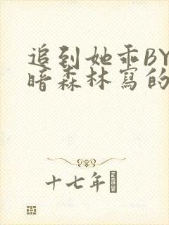 追到她乖BY黑暗森林写的小说封面