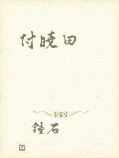 付晓田