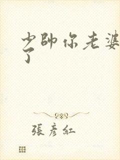 少帅你老婆又跑了