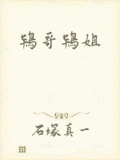 鸨哥鸨姐