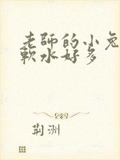 老师的小兔子好软水好多