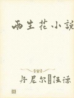 两生花小说封面