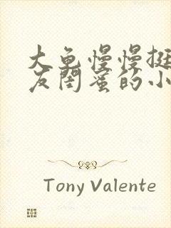 大龟慢慢挺进女友闺蜜的小说封面