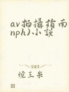 av拍摄指南(nph)小说