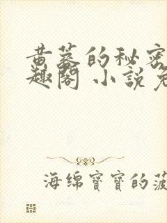 黄蓉的秘密 笔趣阁 小说免费阅读下载