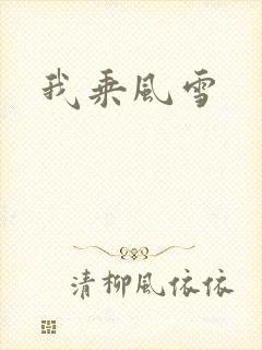 我乘风雪