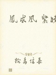 凤求凰 紫晓封面