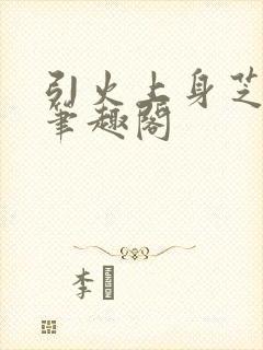 引火上身芝麻糖笔趣阁封面