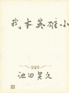 我本英雄小说封面