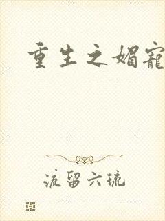 重生之媚宠系统封面