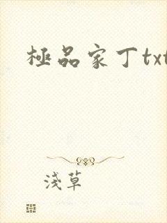 极品家丁txt