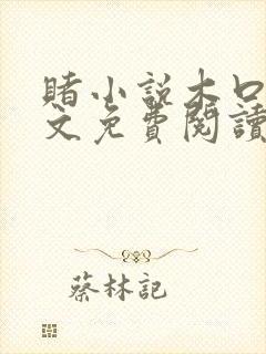 赌小说木口银全文免费阅读笔趣阁