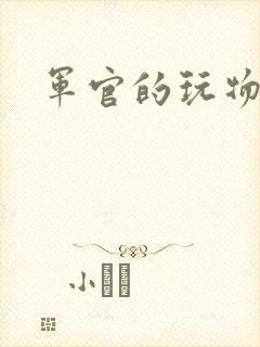 军官的玩物