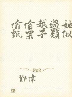 偷偷越过她by甄栗子类似小说