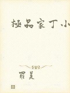 极品家丁小说