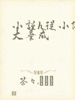 小说h从小做到大养成