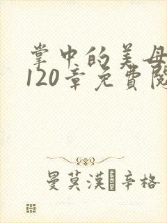 掌中的美母版主120章免费阅读