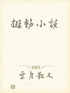 挺动小说封面