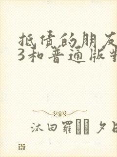 抵债的朋友麦子3和普通版对比