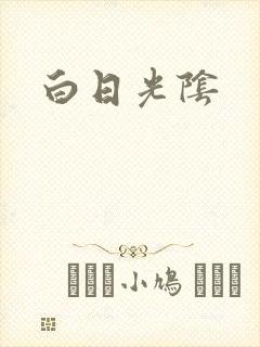 白日光阴