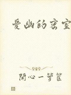 爱幽的密室小说