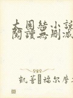 大团结小说在线阅读无删减