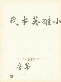 我本英雄小说