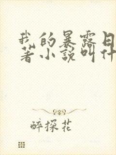 我的暴露日记原著小说叫什么