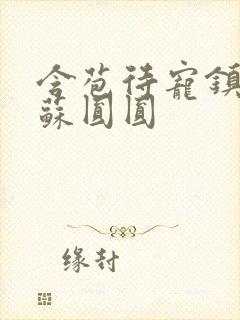 含苞待宠镇国公苏圆圆