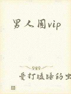 男人团vip封面
