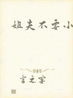 姐夫不要小说