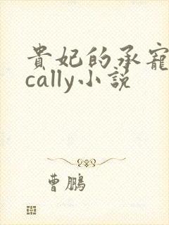 贵妃的承宠日常cally小说