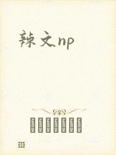 辣文np封面