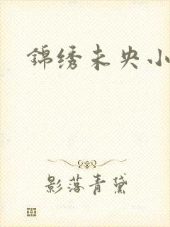 锦绣未央小说