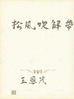 松风吹解带封面