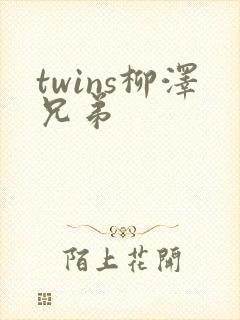 twins柳泽兄弟