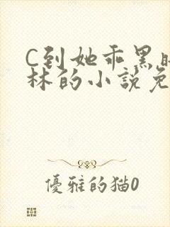 C到她乖黑暗森林的小说免费封面