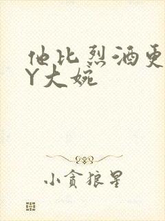 他比烈酒更撩BY大婉