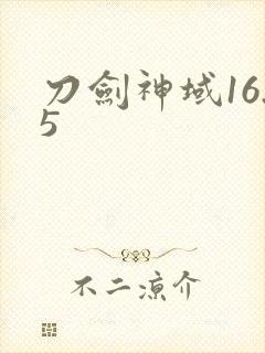 刀剑神域16.5