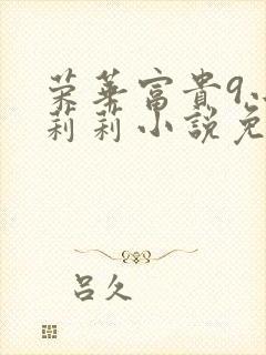 荣华富贵9小王莉莉小说免费阅读