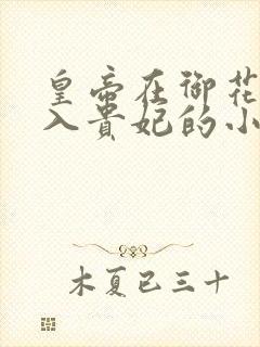 皇帝在御花园进入贵妃的小说