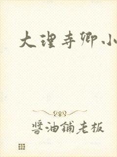 大理寺卿小说封面