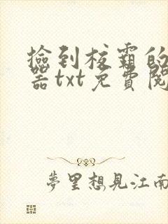 捡到校霸的遥控器txt免费阅读by阳阳