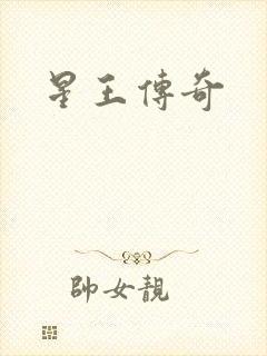 星王传奇封面