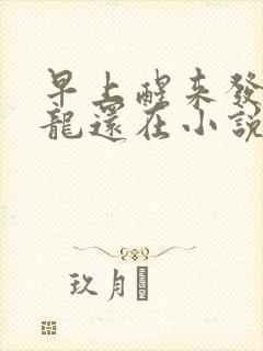 早上醒来发现巨龙还在小说