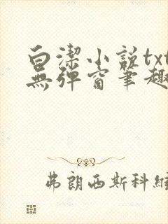 白洁小说txt无弹窗笔趣阁