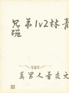 兄弟1v2林青碗封面
