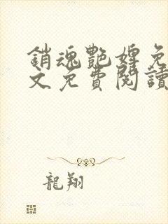 销魂艳婢免费全文免费阅读封面