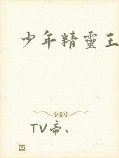 少年精灵王