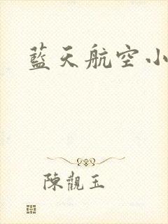 蓝天航空小说